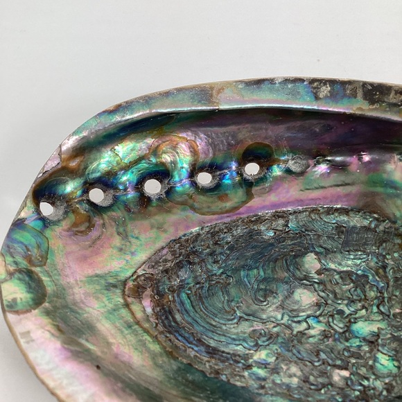 Green Abalone Sea Shell One Side Polished Natural Beach Craft 5.5" X 4.25" - Picture 7 of 15